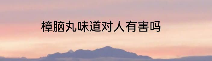樟脑丸味道对人有害吗