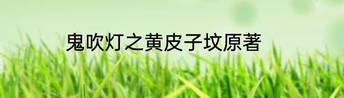 鬼吹灯之黄皮子坟原著