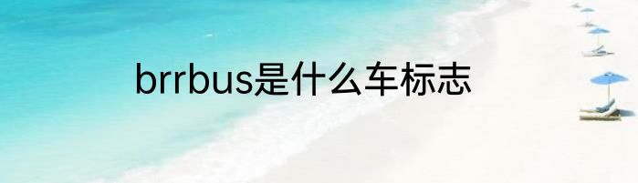 brrbus是什么车标志