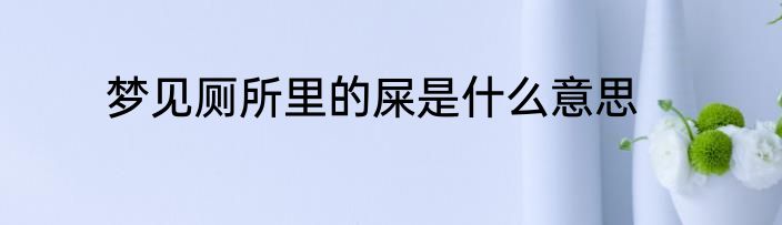 梦见厕所里的屎是什么意思