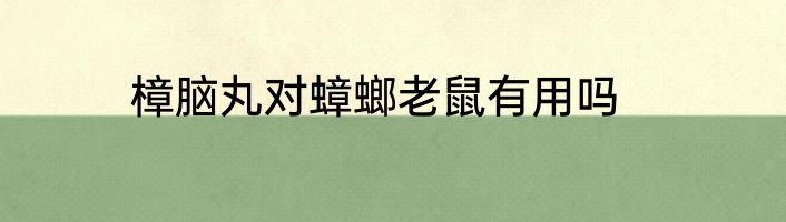 樟脑丸对蟑螂老鼠有用吗