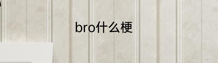 bro什么梗