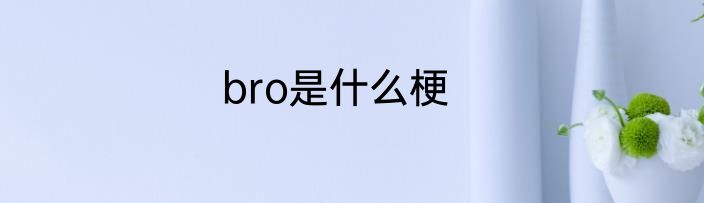 bro是什么梗