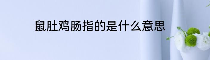 鼠肚鸡肠指的是什么意思