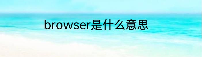 browser是什么意思