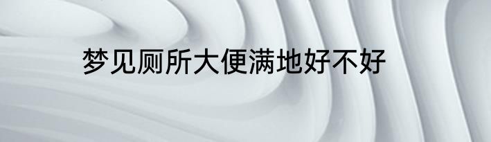 梦见厕所大便满地好不好