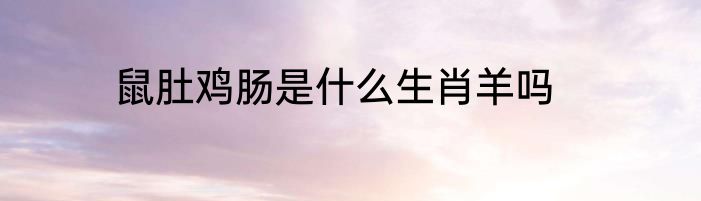 鼠肚鸡肠是什么生肖羊吗