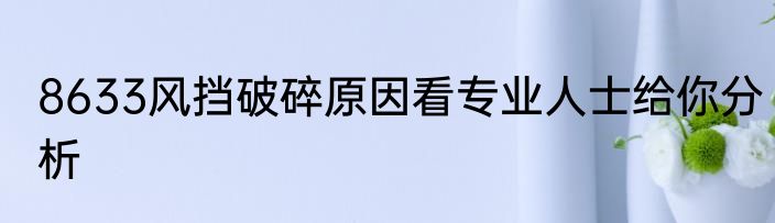 8633风挡破碎原因看专业人士给你分析