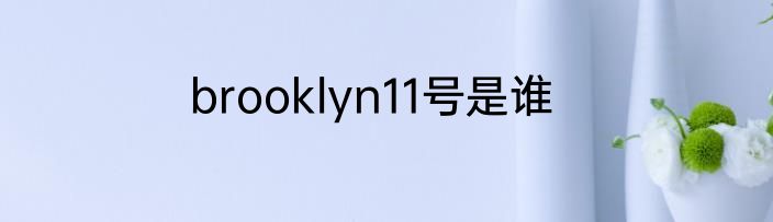 brooklyn11号是谁