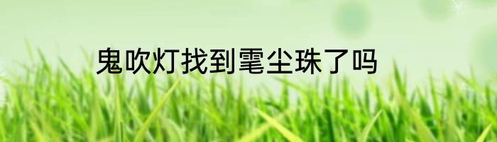 鬼吹灯找到雮尘珠了吗