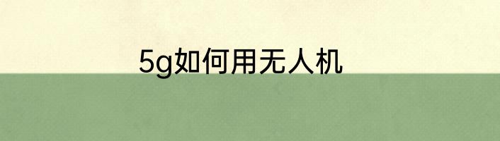 5g如何用无人机