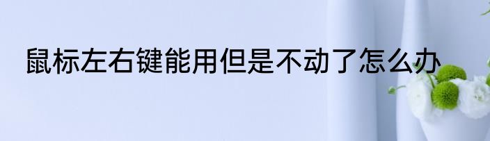 鼠标左右键能用但是不动了怎么办