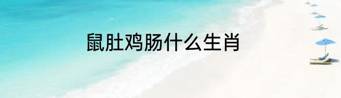 鼠肚鸡肠什么生肖