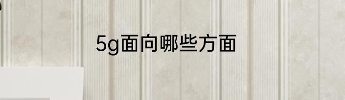 5g面向哪些方面