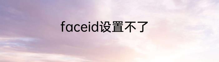 faceid设置不了