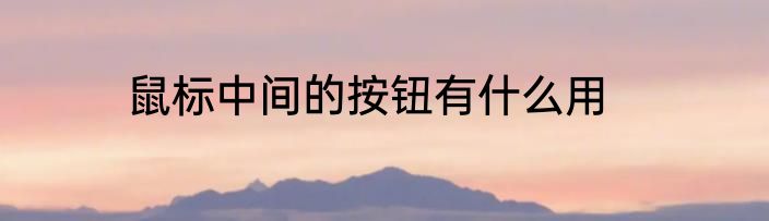 鼠标中间的按钮有什么用