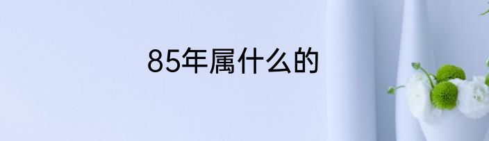 85年属什么的