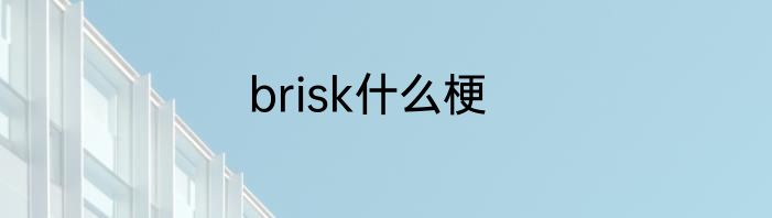 brisk什么梗