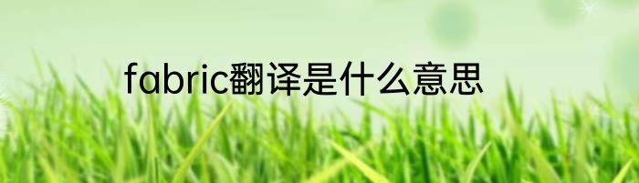 fabric翻译是什么意思