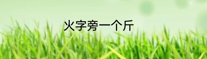 火字旁一个斤
