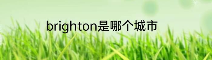 brighton是哪个城市