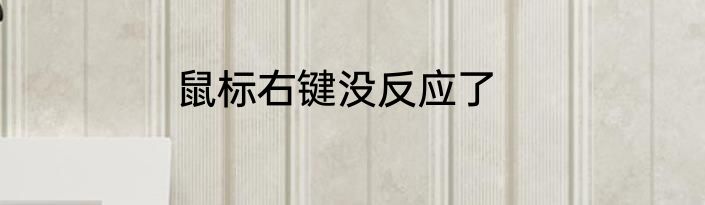 鼠标右键没反应了