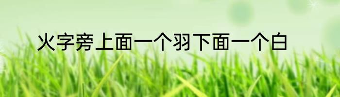 火字旁上面一个羽下面一个白
