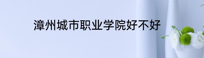漳州城市职业学院好不好