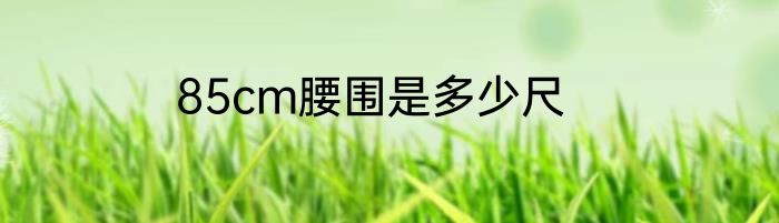 85cm腰围是多少尺
