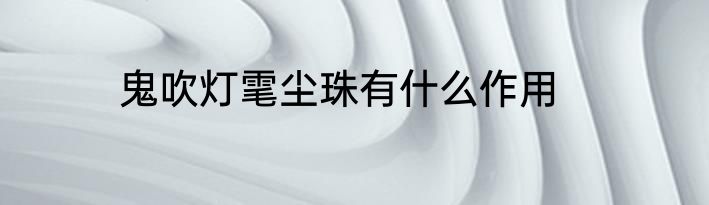 鬼吹灯雮尘珠有什么作用