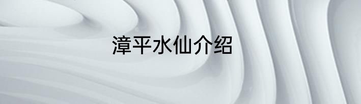 漳平水仙介绍