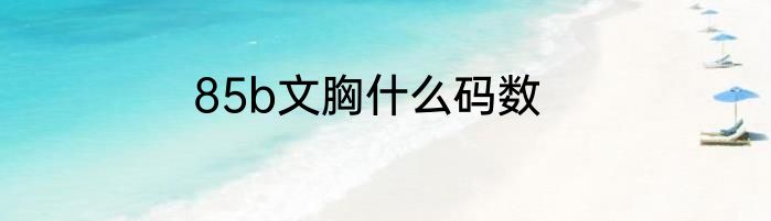 85b文胸什么码数