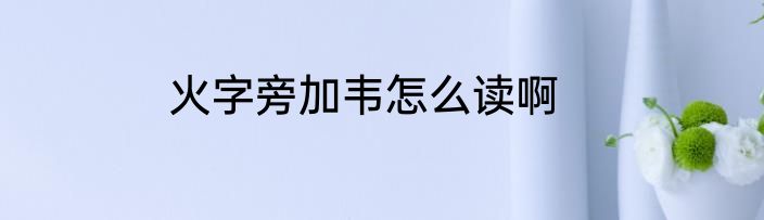火字旁加韦怎么读啊