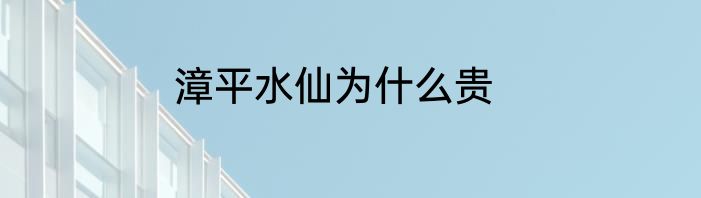 漳平水仙为什么贵