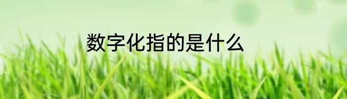 数字化指的是什么