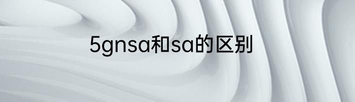 5gnsa和sa的区别