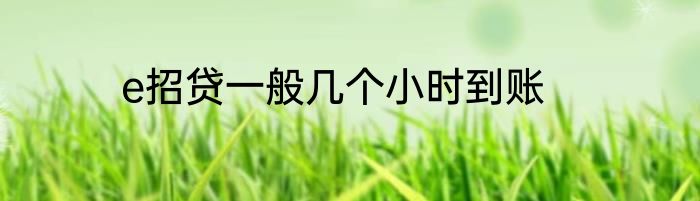 e招贷一般几个小时到账