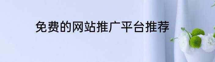 免费的网站推广平台推荐