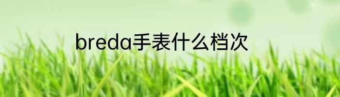 breda手表什么档次