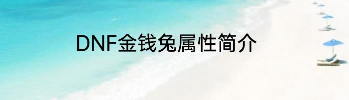 DNF金钱兔属性简介