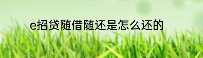 e招贷随借随还是怎么还的