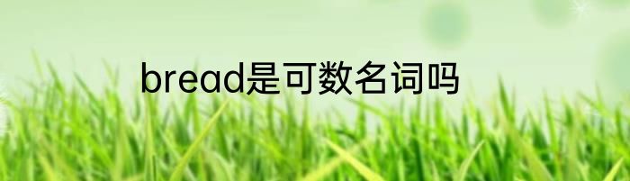 bread是可数名词吗