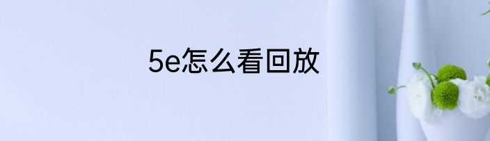 5e怎么看回放