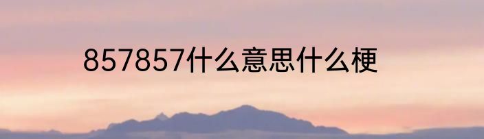 857857什么意思什么梗