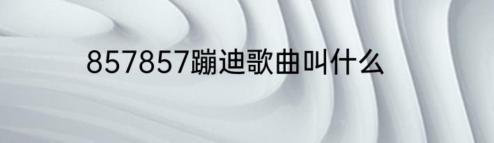 857857蹦迪歌曲叫什么