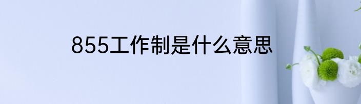 855工作制是什么意思