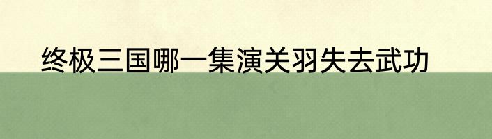 终极三国哪一集演关羽失去武功