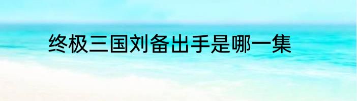 终极三国刘备出手是哪一集