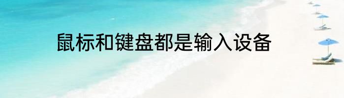鼠标和键盘都是输入设备