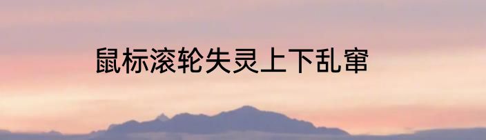 鼠标滚轮失灵上下乱窜